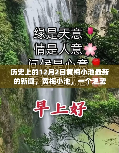 黃梅小池，溫馨日常與愛的紐帶——?dú)v史上的今天新聞回顧，12月2日的愛與陪伴故事