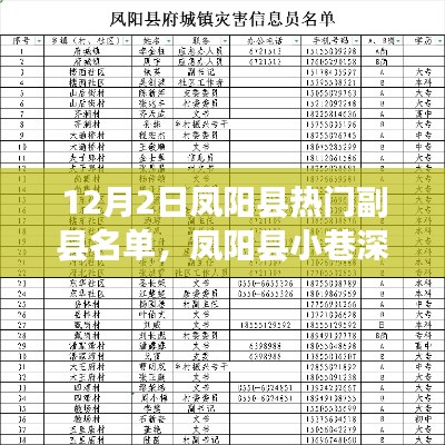 鳳陽縣副縣名單揭秘，小巷深處的特色小店與熱門人物盤點(diǎn)