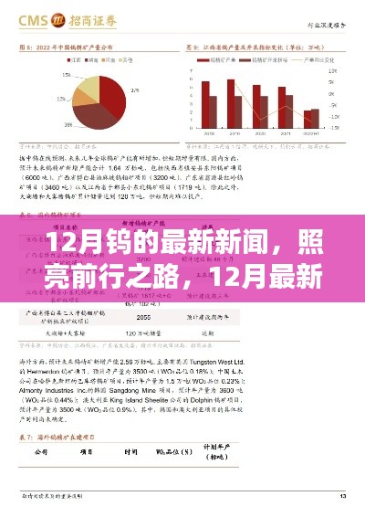 12月鎢的最新動(dòng)態(tài)，照亮前行之路的深度測評與產(chǎn)品介紹