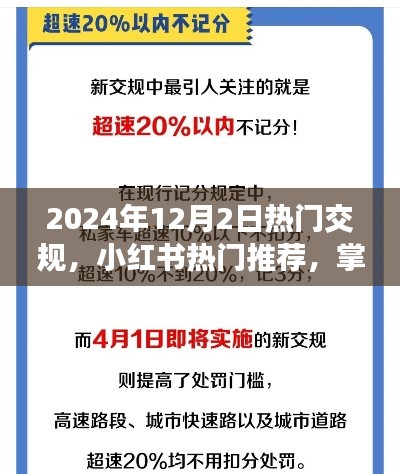 2024年交規(guī)新動態(tài)與熱門推薦，小紅書指南助你出行必備