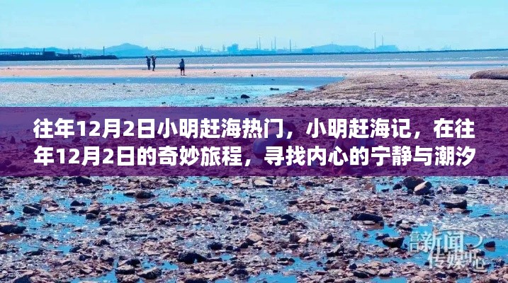 小明趕海記，尋找潮汐之聲與內(nèi)心的寧靜之旅