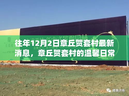章丘賀套村12月2日最新動(dòng)態(tài)，溫馨日常的嶄新篇章