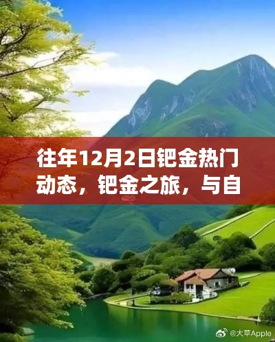 鈀金之旅，與自然美景相遇，探尋內(nèi)心寧靜的熱門動態(tài)回顧