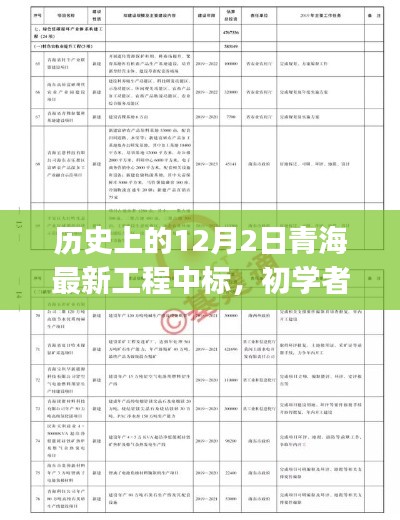 歷史上的12月2日青海最新工程中標(biāo)，初學(xué)者與進(jìn)階用戶的全程指南