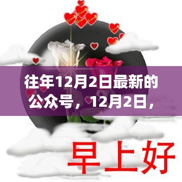 公眾號(hào)里的溫馨日常故事，友情、家庭與愛的紐帶紐帶（12月2日更新）