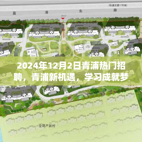 2024年12月2日青浦熱門招聘啟幕，新機遇助力學習成就夢想