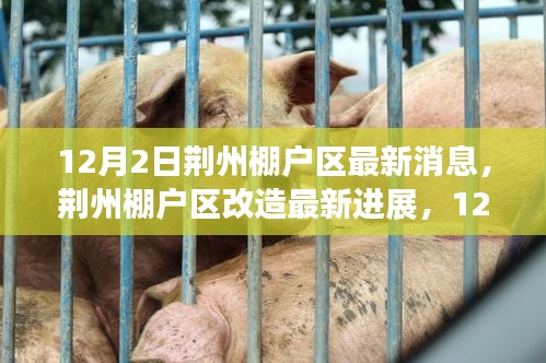 荊州棚戶區(qū)改造最新進(jìn)展深度報(bào)道，12月2日更新消息