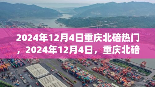2024年12月4日重慶北碚之旅，探尋自然美景，重拾心靈寧靜