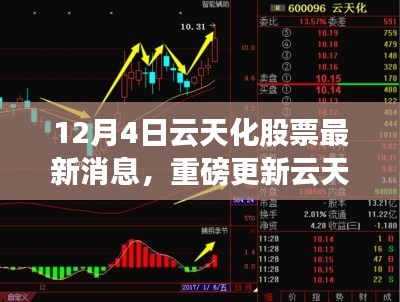 云天化股票最新動態(tài)揭秘，市場走勢分析與前景展望（12月4日更新）