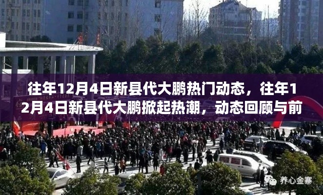 往年12月4日新縣代大鵬，熱門動(dòng)態(tài)回顧與未來前瞻，掀起熱潮的焦點(diǎn)時(shí)刻