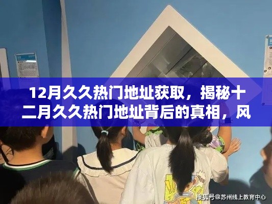 揭秘十二月久久熱門地址背后的真相，風(fēng)險警示與網(wǎng)絡(luò)安全科普知識分享