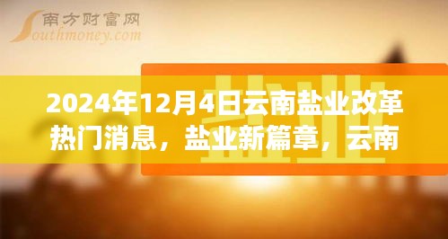 云南鹽業(yè)改革新篇章，溫情故事與行業(yè)動(dòng)態(tài)揭秘（2024年12月4日）