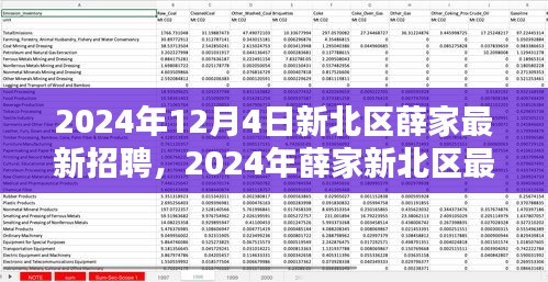 2024年新北區(qū)薛家最新招聘全攻略，適合初學(xué)者與進(jìn)階用戶的應(yīng)聘指南
