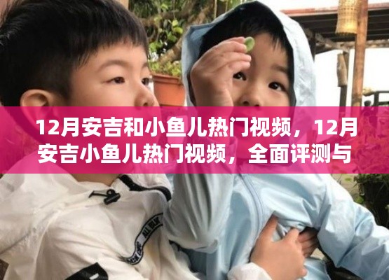 全面評(píng)測與深度介紹，12月安吉小魚兒熱門視頻匯總