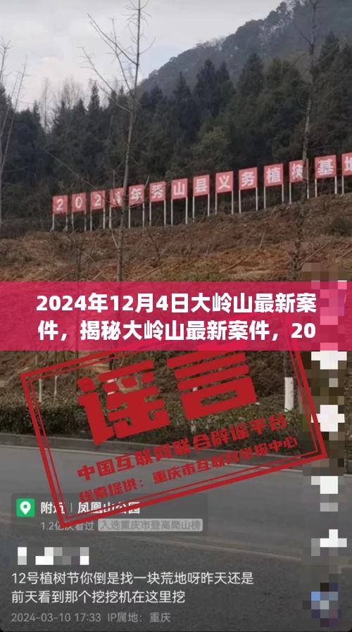 揭秘大嶺山最新案件內(nèi)幕，深度剖析大嶺山事件真相（2024年12月4日）