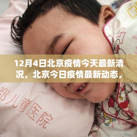 北京疫情最新動態(tài)，背景、進展與影響，今日疫情最新情況分析（12月4日）
