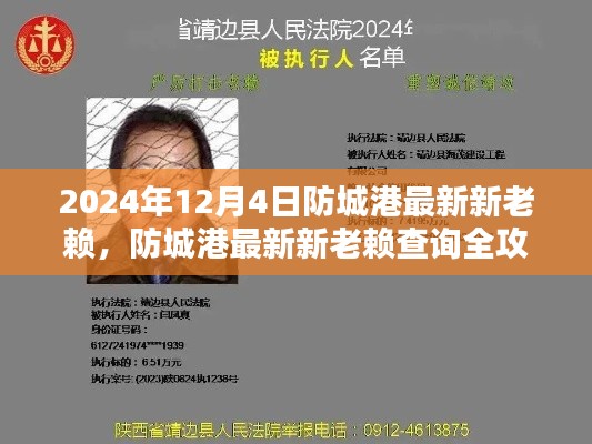 防城港最新新老賴查詢指南（2024年12月版），從初學(xué)者到進(jìn)階用戶全面攻略