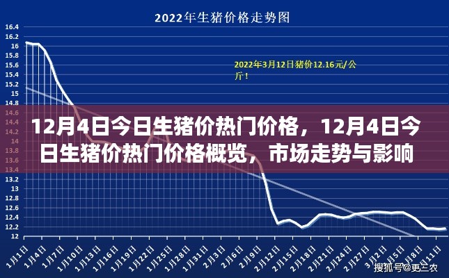 12月4日生豬價(jià)熱門概覽，深度解析市場走勢與影響因素