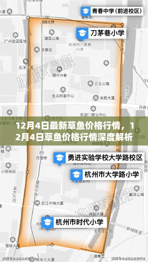12月4日草魚價(jià)格行情解析，市場走勢、影響因素及選購指南