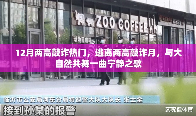 12月熱門敲詐事件，逃離高壓，與自然共舞寧靜之歌