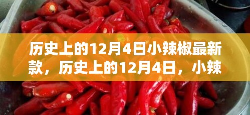 歷史上的小辣椒最新款誕生與影響，揭秘12月4日的獨特意義