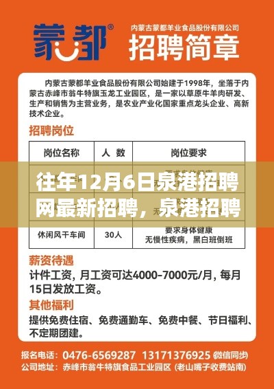 泉港招聘網(wǎng)獨家速遞，歷年12月6日最新招聘信息大盤點與往年招聘動態(tài)回顧