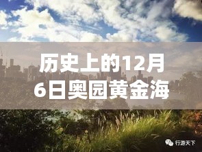 揭秘黃金海岸，歷史上的12月6日最新動(dòng)態(tài)與發(fā)展歷程揭秘