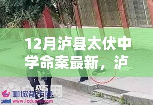 瀘縣太伏中學(xué)命案最新科技進(jìn)展，智能安防系統(tǒng)重塑校園安全新篇章