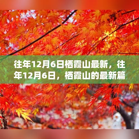 往年12月6日棲霞山深度解析，歷史、事件與地位的新篇章