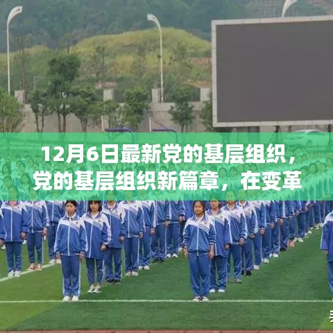 變革之光，黨的基層組織新篇章，12月6日最新發(fā)展