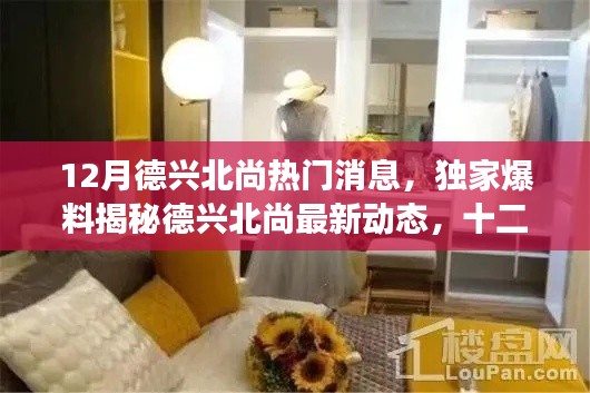獨(dú)家爆料，德興北尚十二月最新動(dòng)態(tài)揭秘，震撼消息一網(wǎng)打盡！