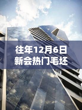 揭秘新會(huì)熱門毛坯二手樓市，購房者三大關(guān)注點(diǎn)解析（往年12月6日）