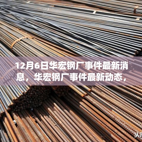 華宏鋼廠事件最新動(dòng)態(tài)與深度解析，最新消息與觀點(diǎn)闡述
