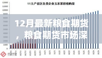 聚焦糧食期貨市場深度洞察，十二月最新動態(tài)與市場趨勢