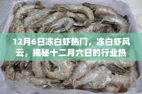 揭秘凍白蝦風云，十二月六日的行業(yè)熱點與深遠影響