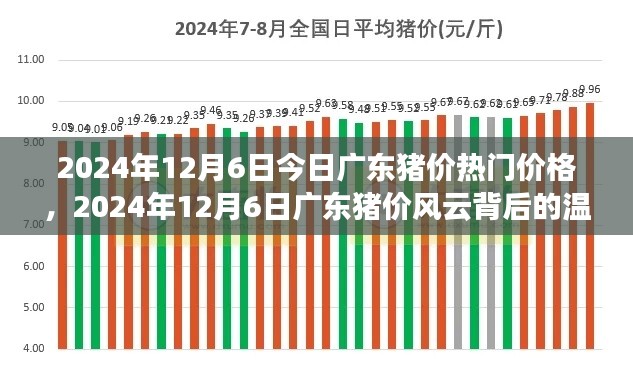 廣東豬價(jià)風(fēng)云背后的溫情故事，最新價(jià)格動(dòng)態(tài)與深度解讀