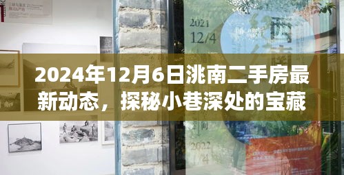 探秘洮南小巷寶藏，揭秘二手房市場(chǎng)最新動(dòng)態(tài)與獨(dú)特小店的奇遇記（最新資訊，2024年12月6日）