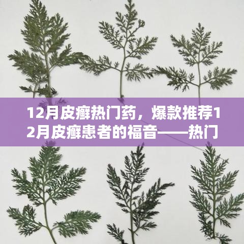 12月皮癬熱門藥物大盤點(diǎn)，爆款推薦與患者的福音