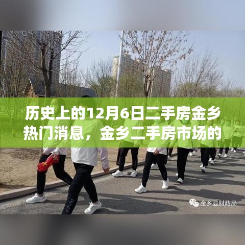 特別的日子，金鄉(xiāng)二手房市場溫馨故事回顧——12月6日熱門消息揭秘