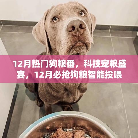 12月熱門狗糧番與智能投喂器新品亮相，科技寵糧盛宴開啟