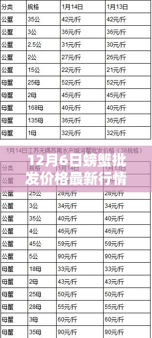 12月6日螃蟹批發(fā)價格最新行情，12月6日螃蟹批發(fā)價格最新行情詳解，入門指南與關(guān)鍵步驟