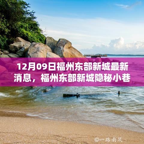 12月09日福州東部新城最新消息，福州東部新城隱秘小巷中的寶藏小店，12月獨(dú)家新鮮探秘