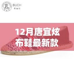 唐宜炫布鞋最新科技風(fēng)尚款，融合傳統(tǒng)與智能，引領(lǐng)時(shí)尚新潮流的價(jià)格揭秘