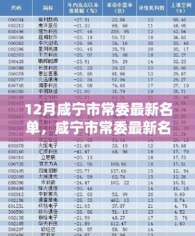 12月咸寧市常委最新名單，咸寧市常委最新名單科技新品亮相，智能時(shí)代，革新未來(lái)體驗(yàn)