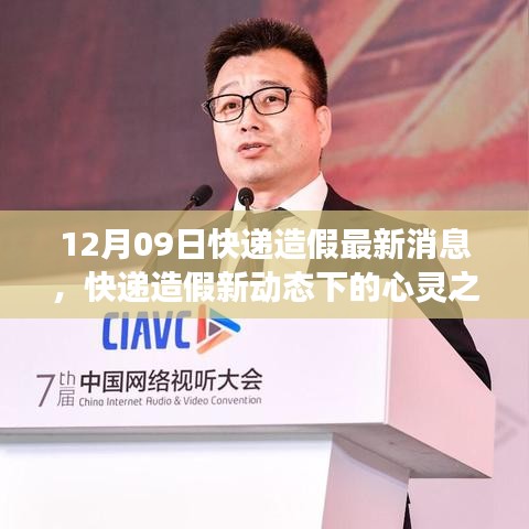 快遞造假新動態(tài)下的心靈探尋，自然美景與內(nèi)心平靜的追尋