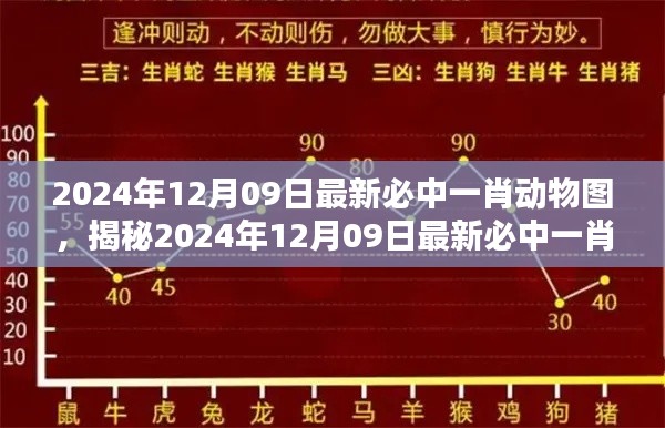 揭秘彩票背后的秘密策略，揭秘必中一肖動物圖的犯罪真相