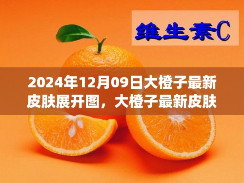 大橙子最新皮膚展開圖評測與介紹，2024年12月09日獨(dú)家報道