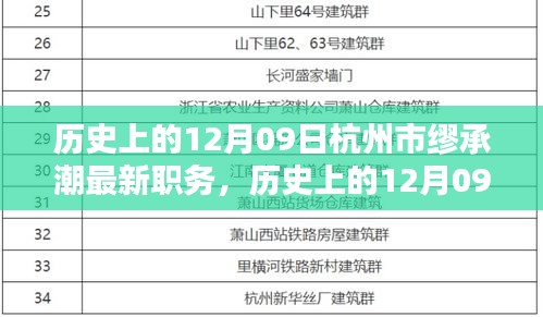 杭州市繆承潮新任職務深度解析，職責特點、用戶體驗與競品對比