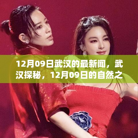 武漢探秘，尋找內(nèi)心的寧?kù)o與平和——武漢最新新聞與自然之旅