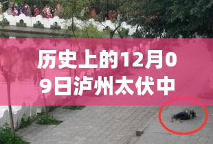 niaomianhuxing 第4頁(yè)